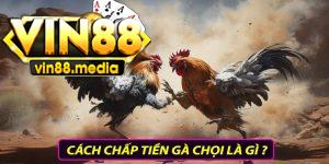 Cách chấp tiền gà chọi là gì?